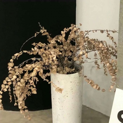 Furry兽设创作灵感兽圈群